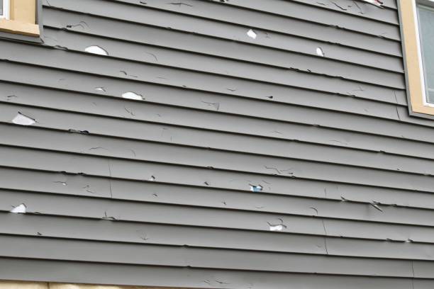 Best Stucco Siding  in Monroeville, PA